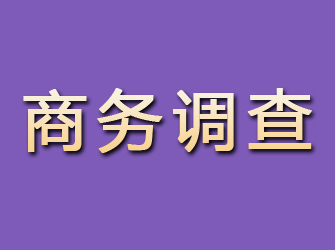 含山商务调查